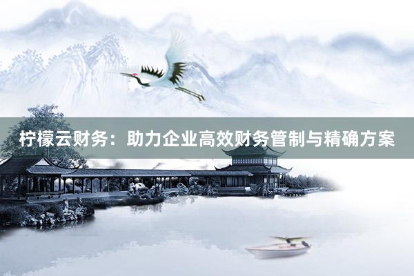 柠檬云财务：助力企业高效财务管制与精确方案